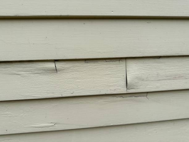 Reliable Pender, NE Siding Services Solutions